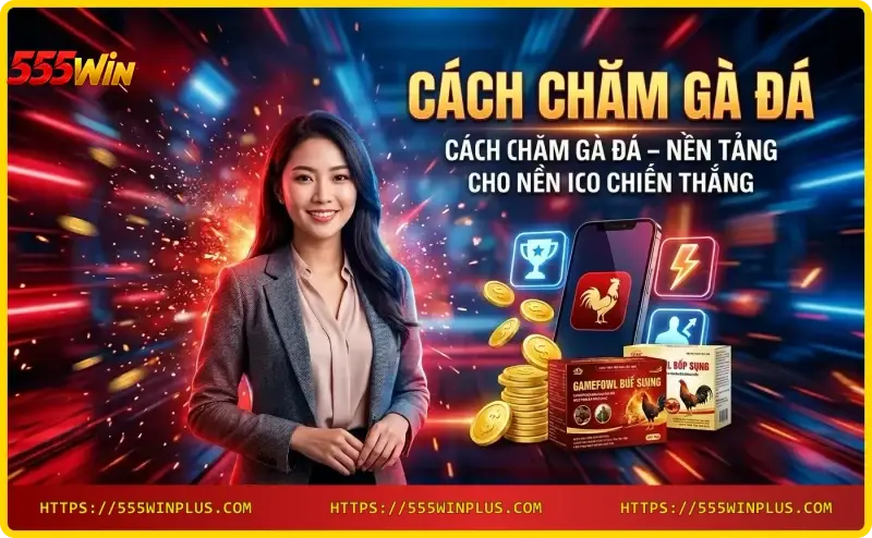 chien-ke-khoe-manh-nen-tang-cach-cham-ga-da Chiến kê khỏe mạnh - nền tảng cách chăm gà đá